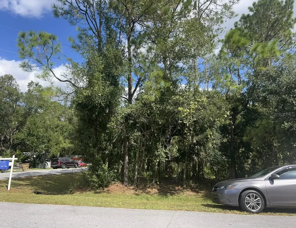 Wauchula Street Intercession City FL 33848