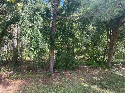 Wauchula Street Intercession City FL 33848