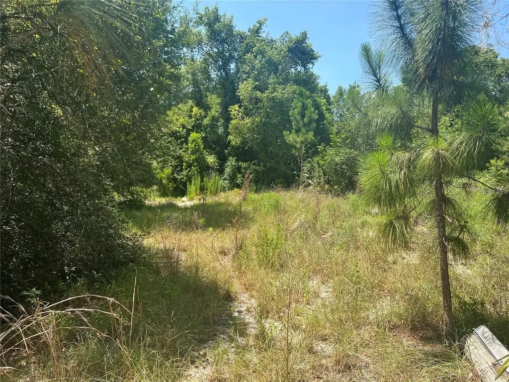 40314 Lime Street Eustis FL 32736