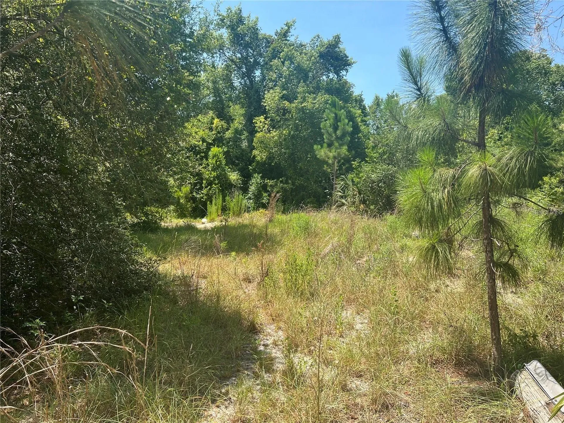 40314 Lime Street Eustis FL 32736