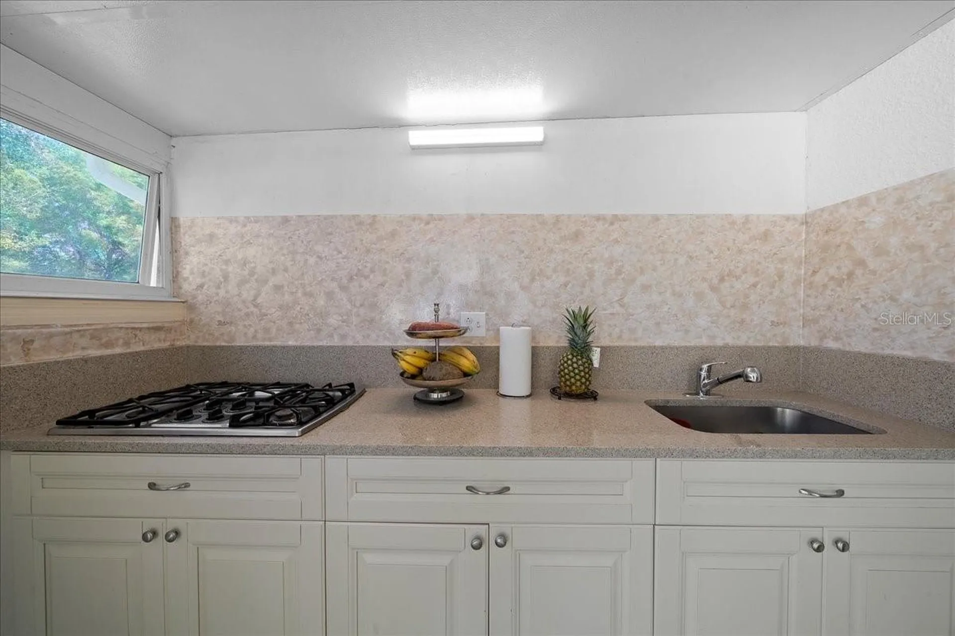 13789 SW 102nd Place Dunnellon FL 34432