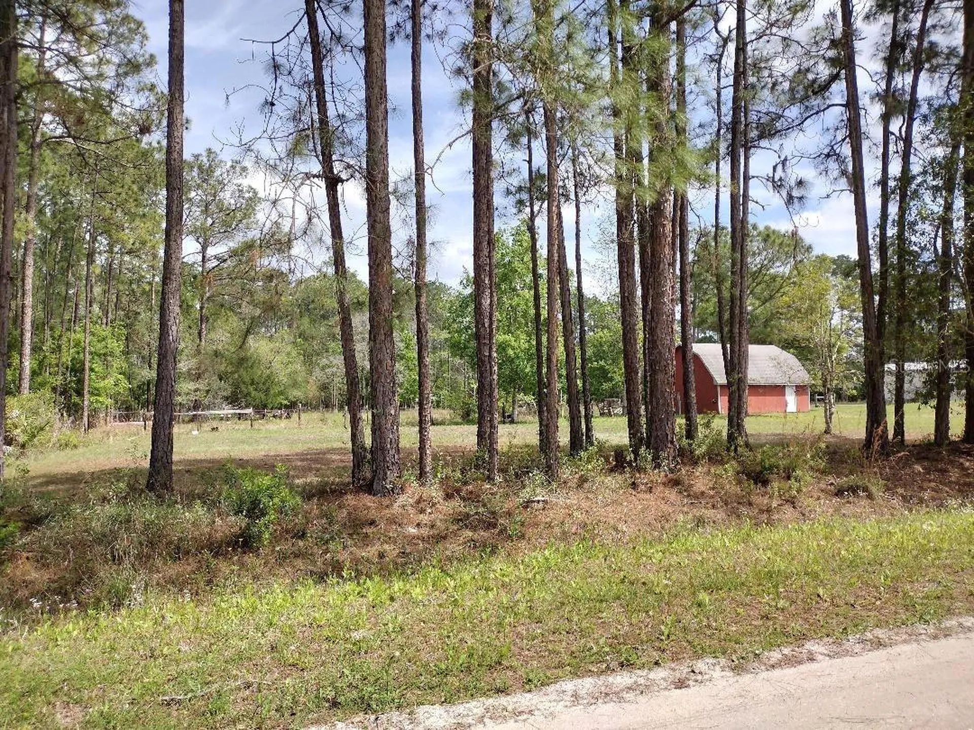 4442 Clove Avenue Bunnell FL 32110