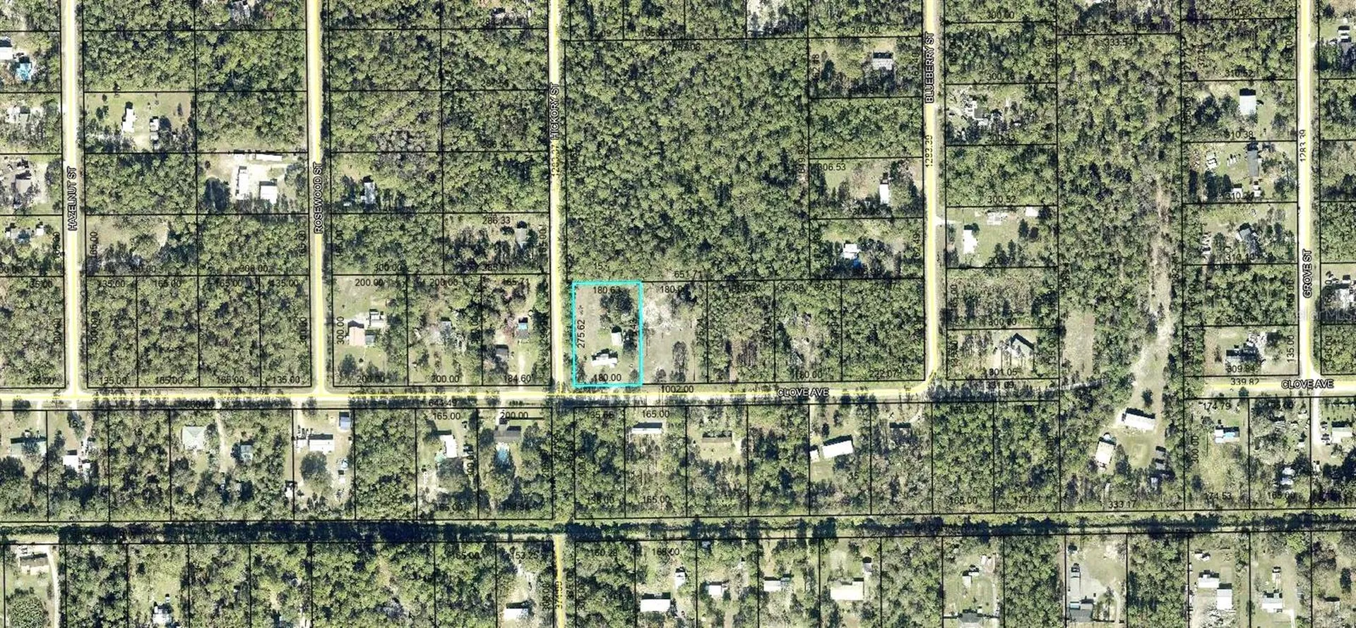 4442 Clove Avenue Bunnell FL 32110