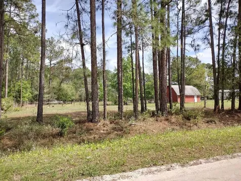 4442 Clove Avenue Bunnell FL 32110