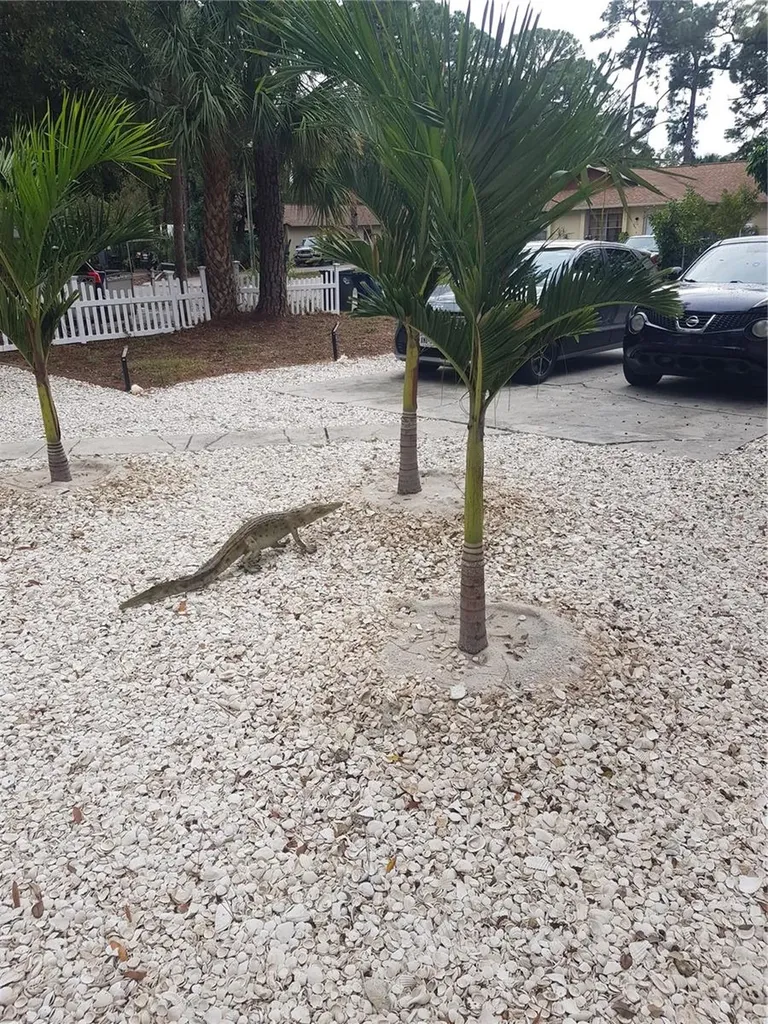 311 58th Avenue E Bradenton FL 34203