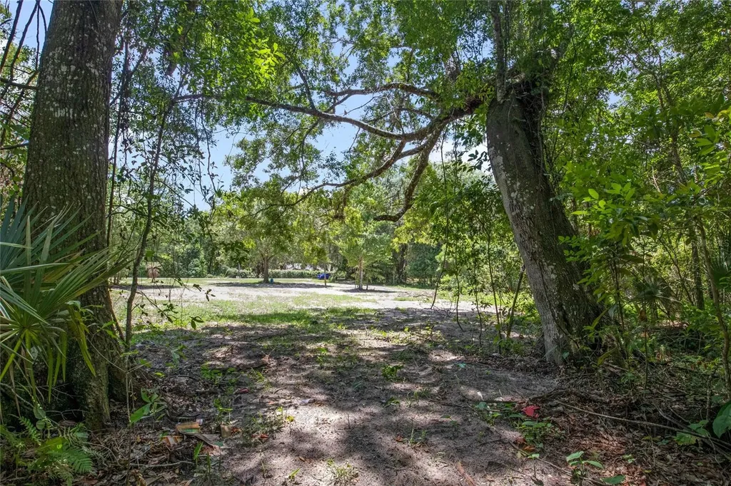 15527 Trousdale Street Clermont FL 34715