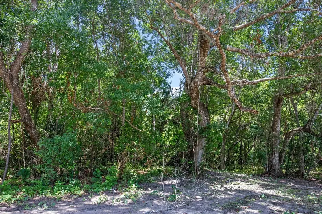 15527 Trousdale Street Clermont FL 34715