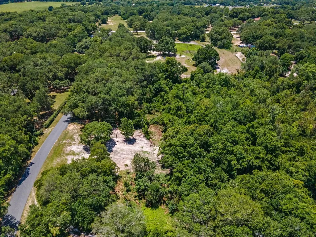 15527 Trousdale Street Clermont FL 34715