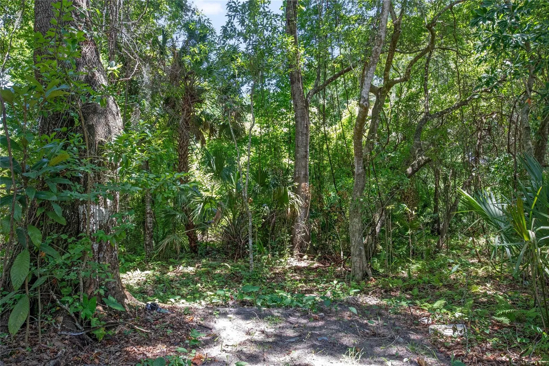 15527 Trousdale Street Clermont FL 34715