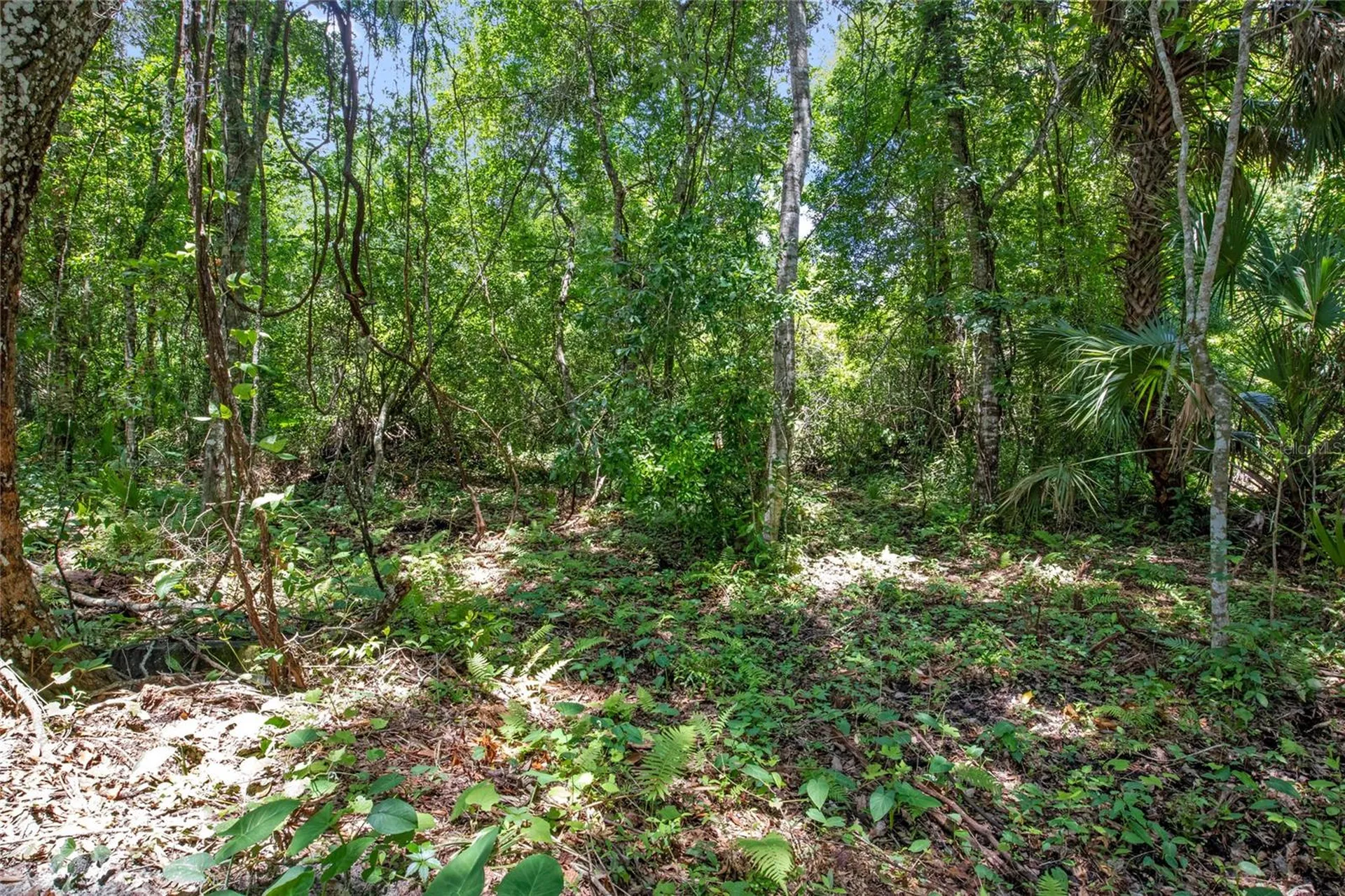 15527 Trousdale Street Clermont FL 34715