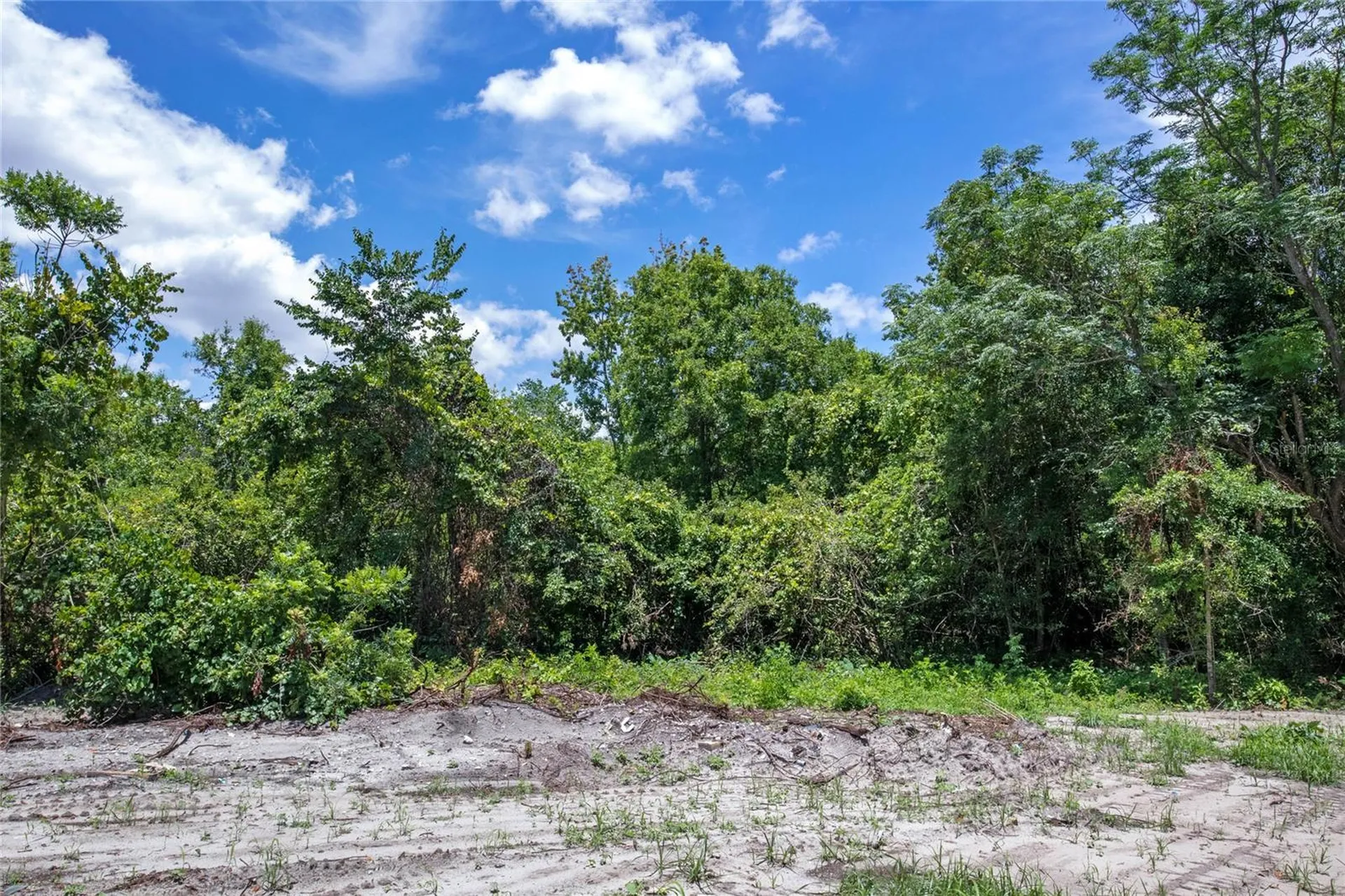 15527 Trousdale Street Clermont FL 34715