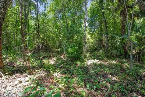 15527 Trousdale Street Clermont FL 34715