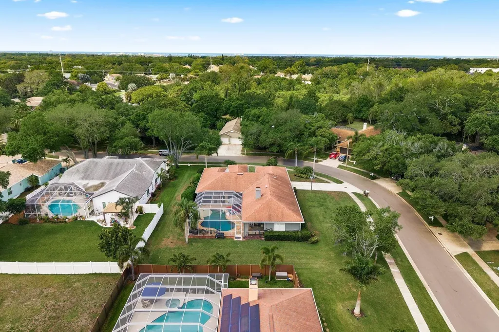 2016 Swan Lane Palm Harbor FL 34683