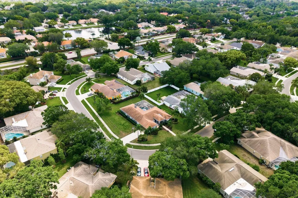 2016 Swan Lane Palm Harbor FL 34683