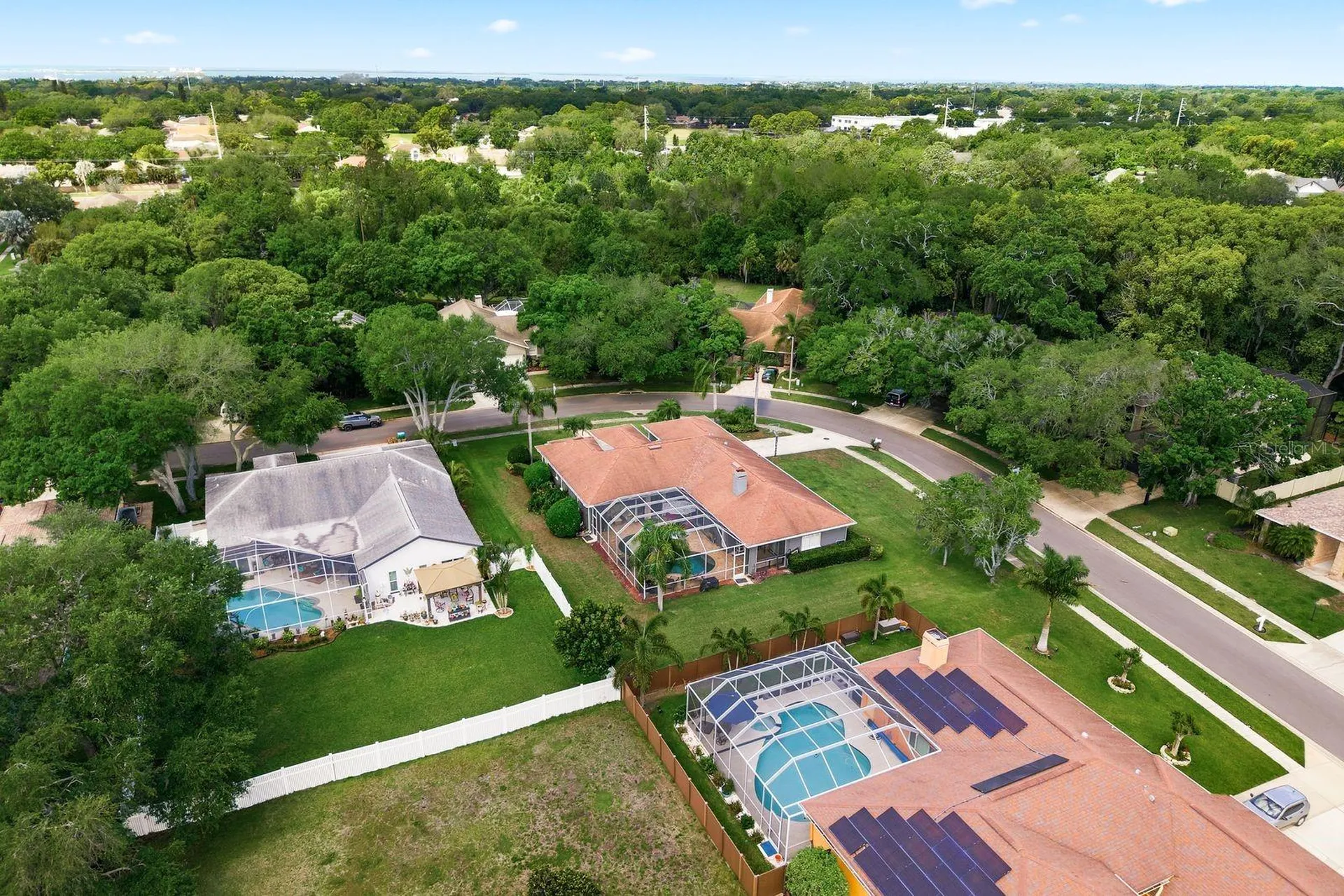 2016 Swan Lane Palm Harbor FL 34683