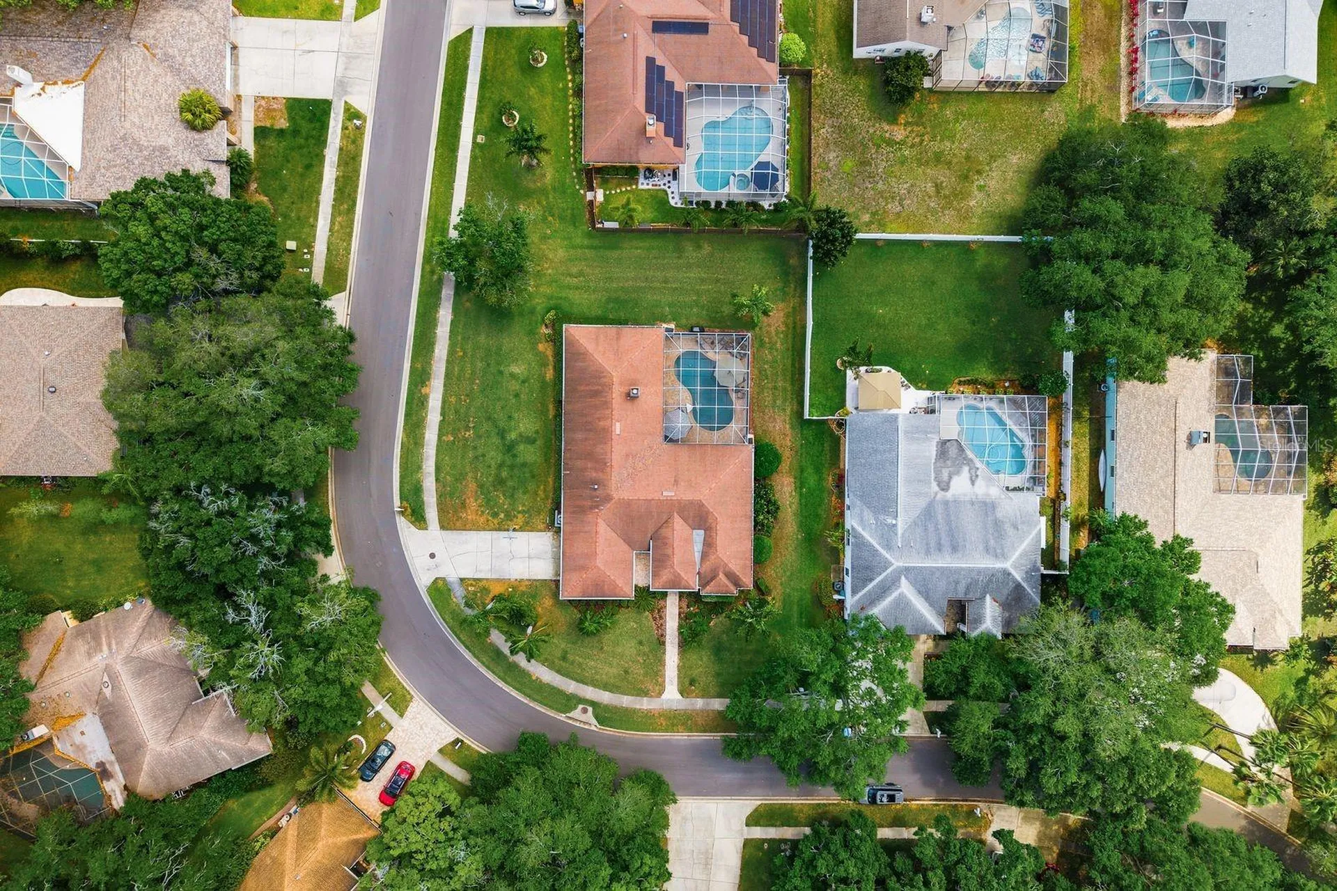 2016 Swan Lane Palm Harbor FL 34683