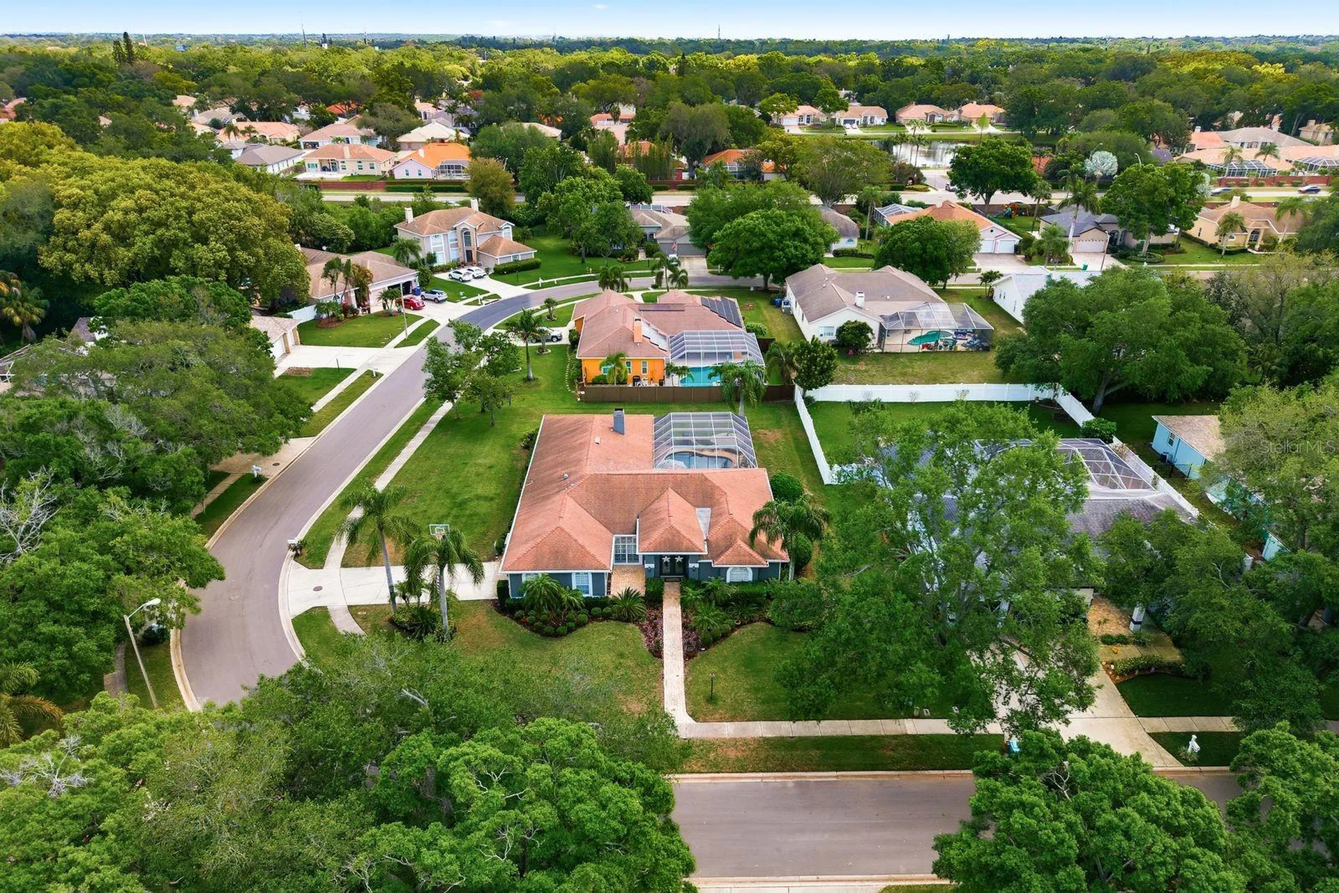 2016 Swan Lane Palm Harbor FL 34683