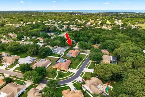 2016 Swan Lane Palm Harbor FL 34683