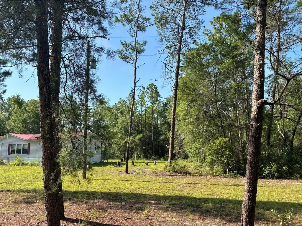 109 Greenwood Road Florahome FL 32140