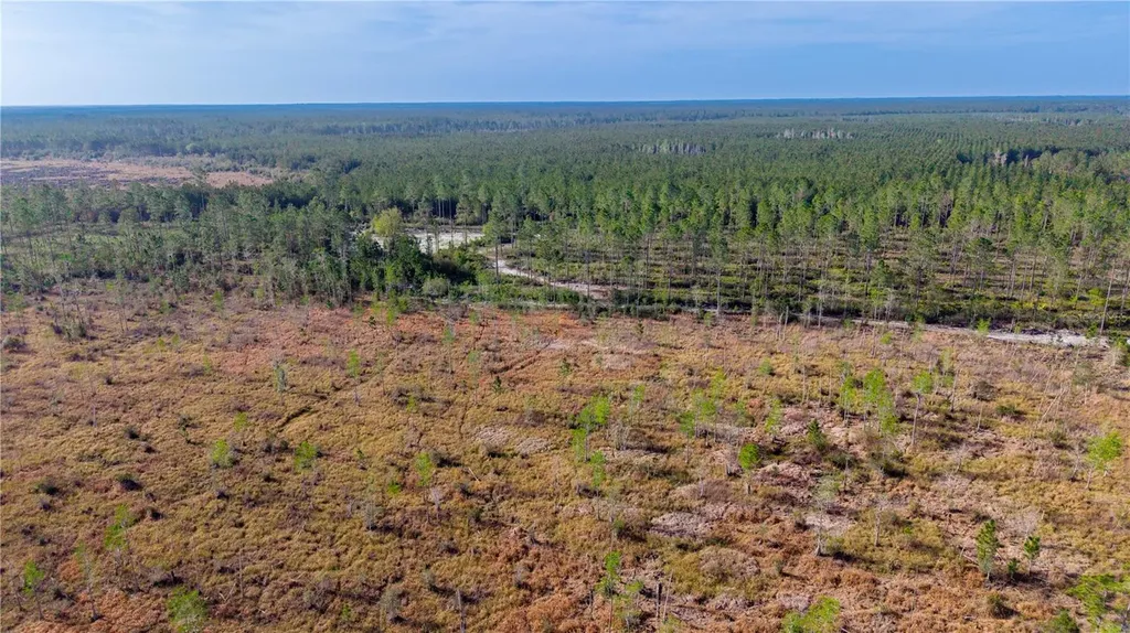 Tbd NE 83rd Way Gainesville FL 32609