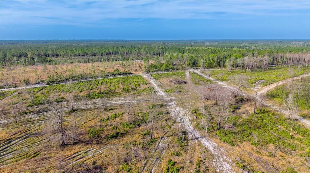 Tbd NE 83rd Way Gainesville FL 32609