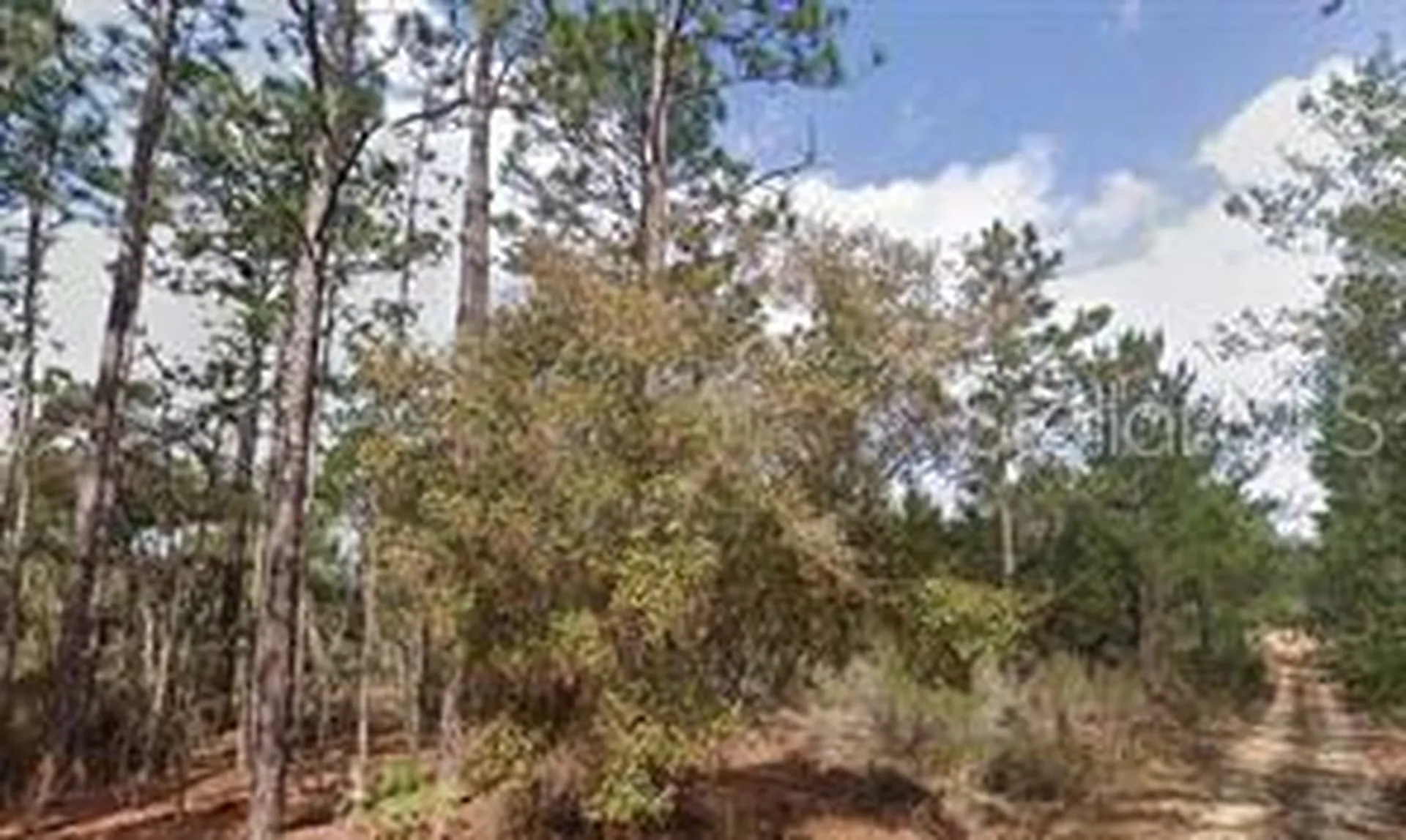 Akron Street Interlachen FL 32148