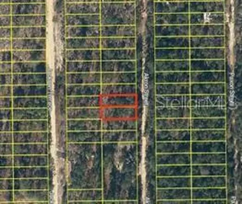 Akron Street Interlachen FL 32148