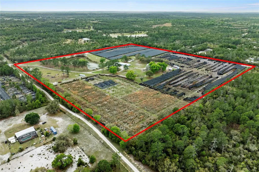 40945 Beach Eustis FL 32736