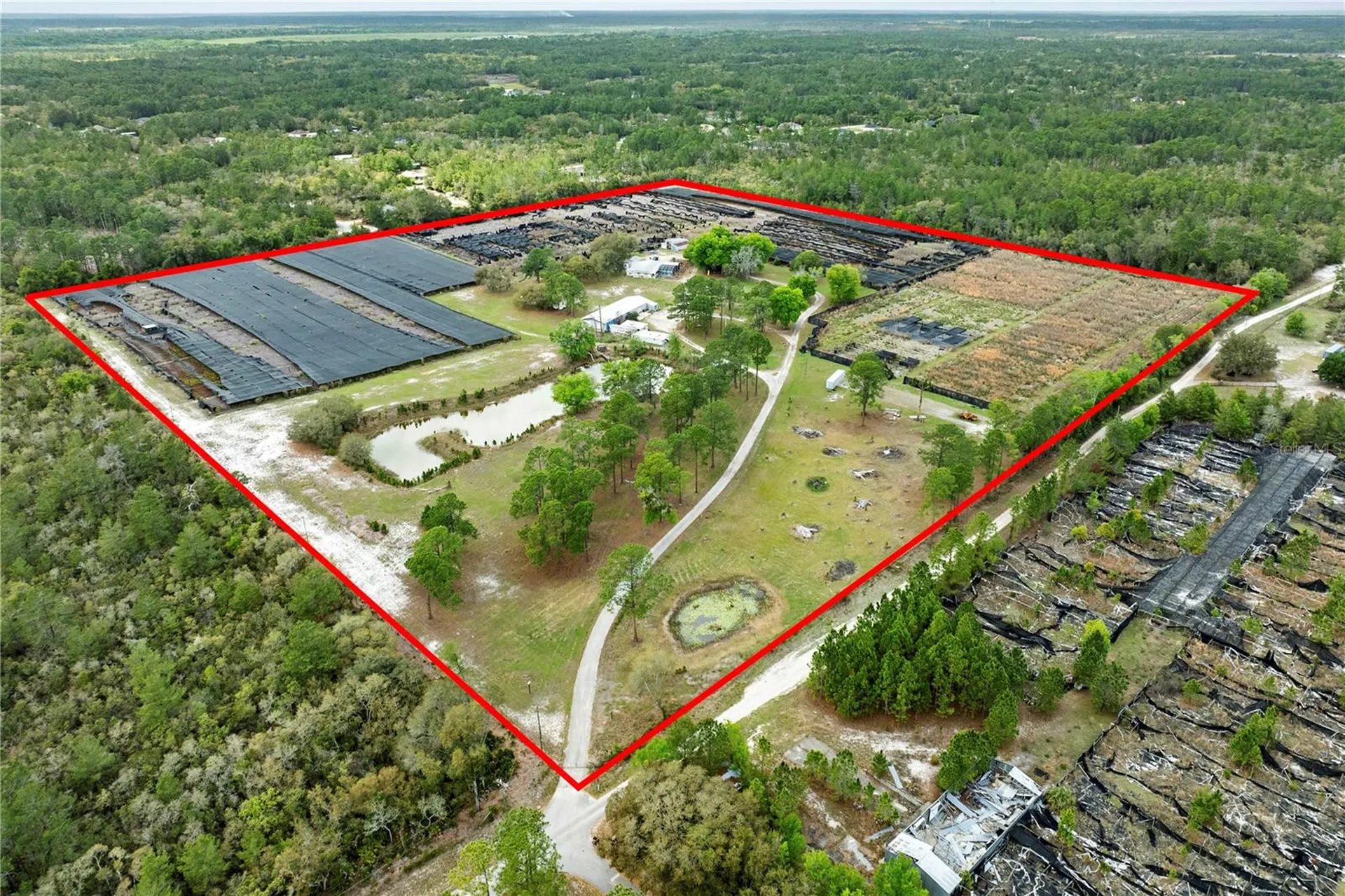 40945 Beach Eustis FL 32736