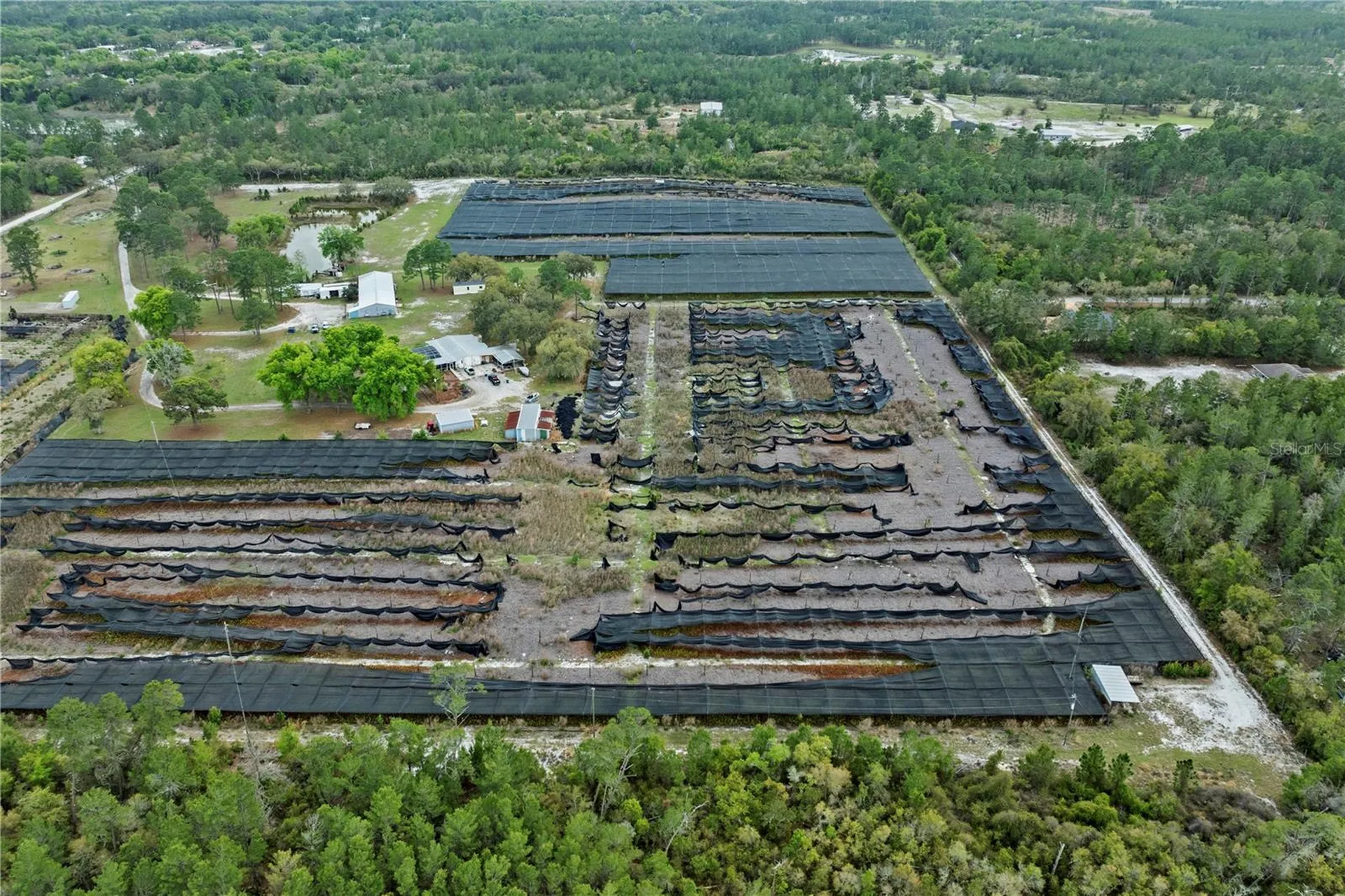 40945 Beach Eustis FL 32736