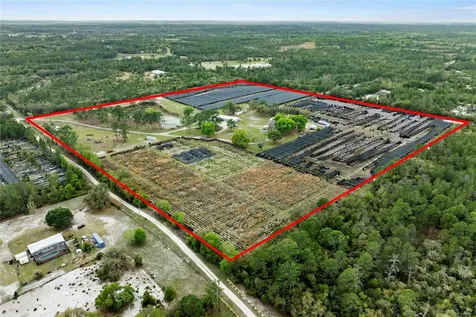 40945 Beach Eustis FL 32736