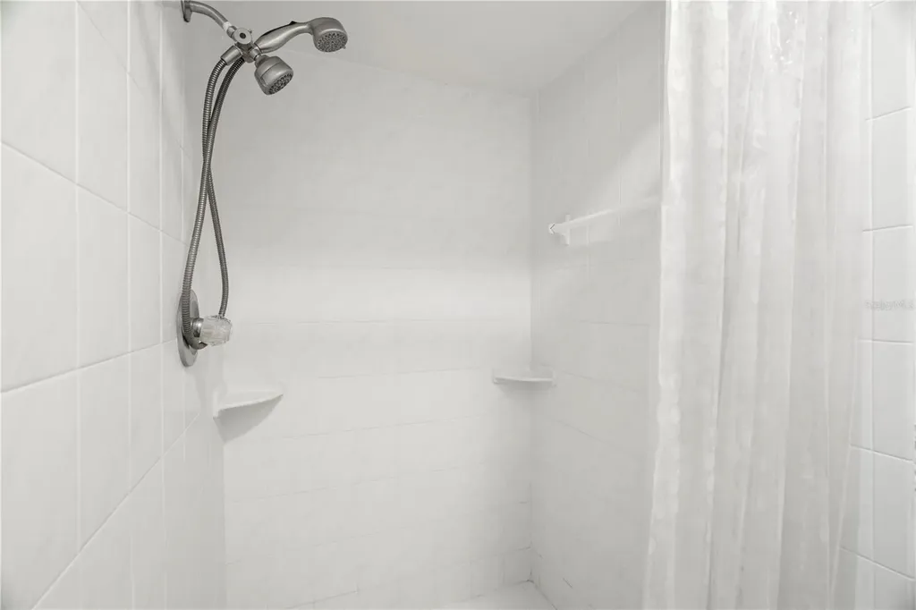 10408 Reclinata Lane Tampa FL 33618