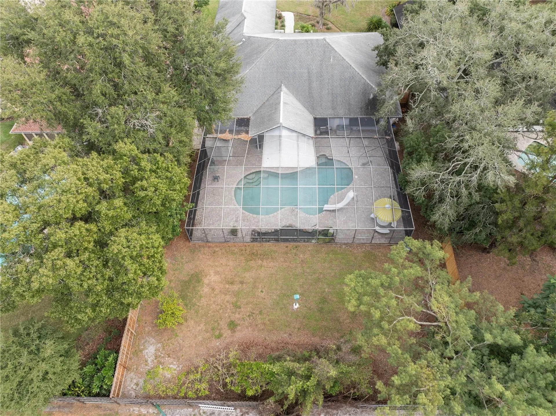 10408 Reclinata Lane Tampa FL 33618