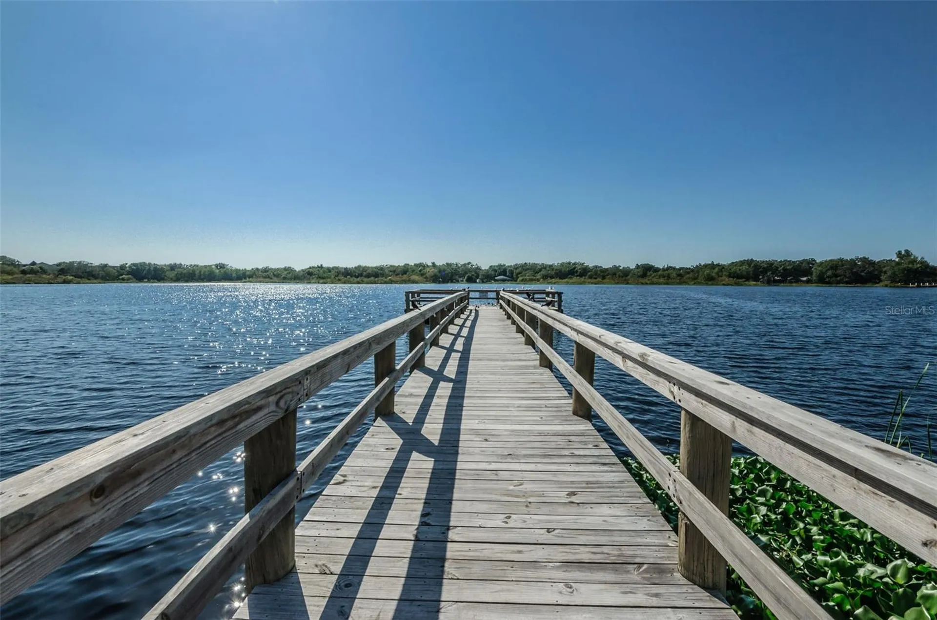 2223 Philippine Drive Clearwater FL 33763