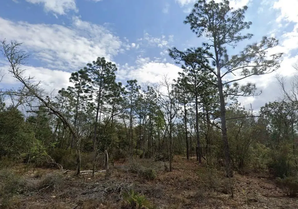 Park Street Interlachen FL 32148