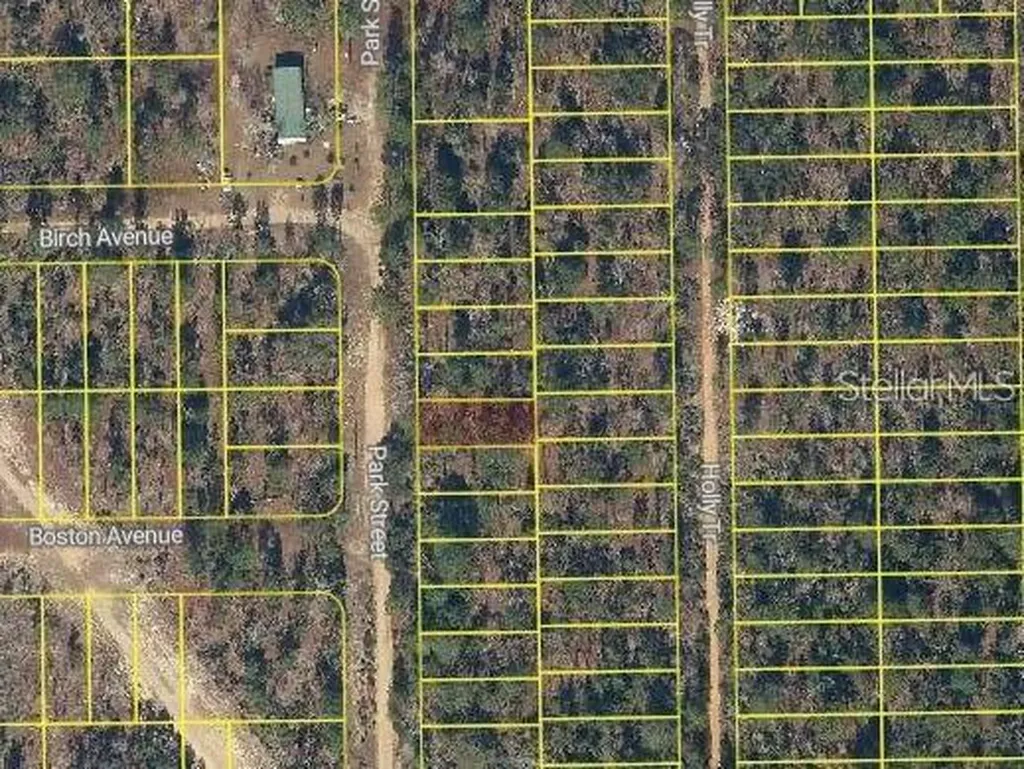 Park Street Interlachen FL 32148
