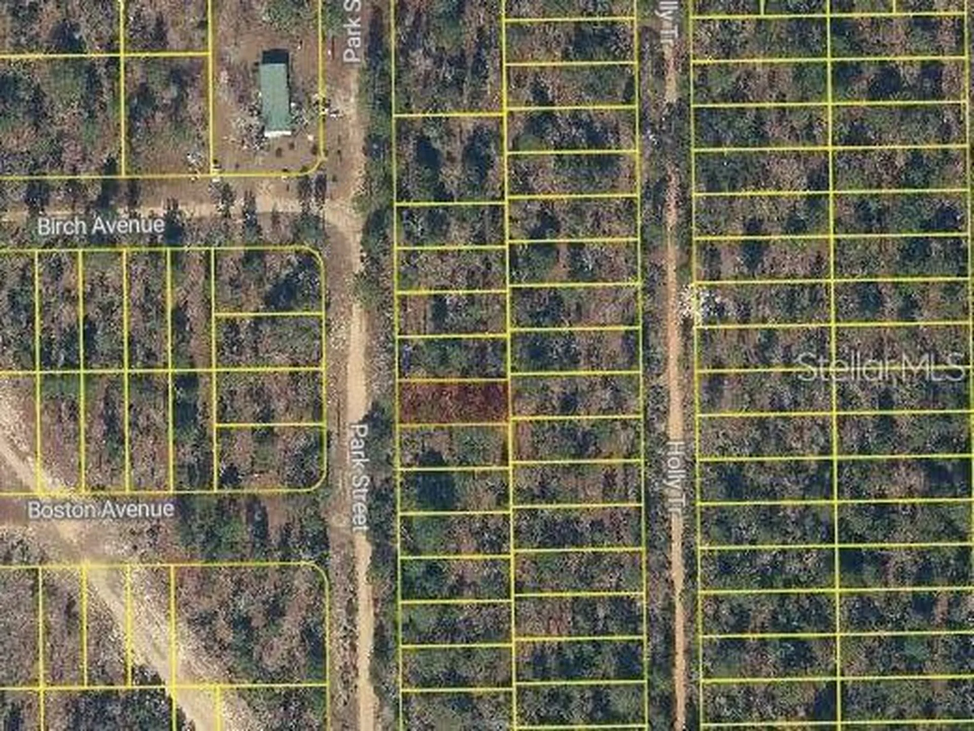 Park Street Interlachen FL 32148