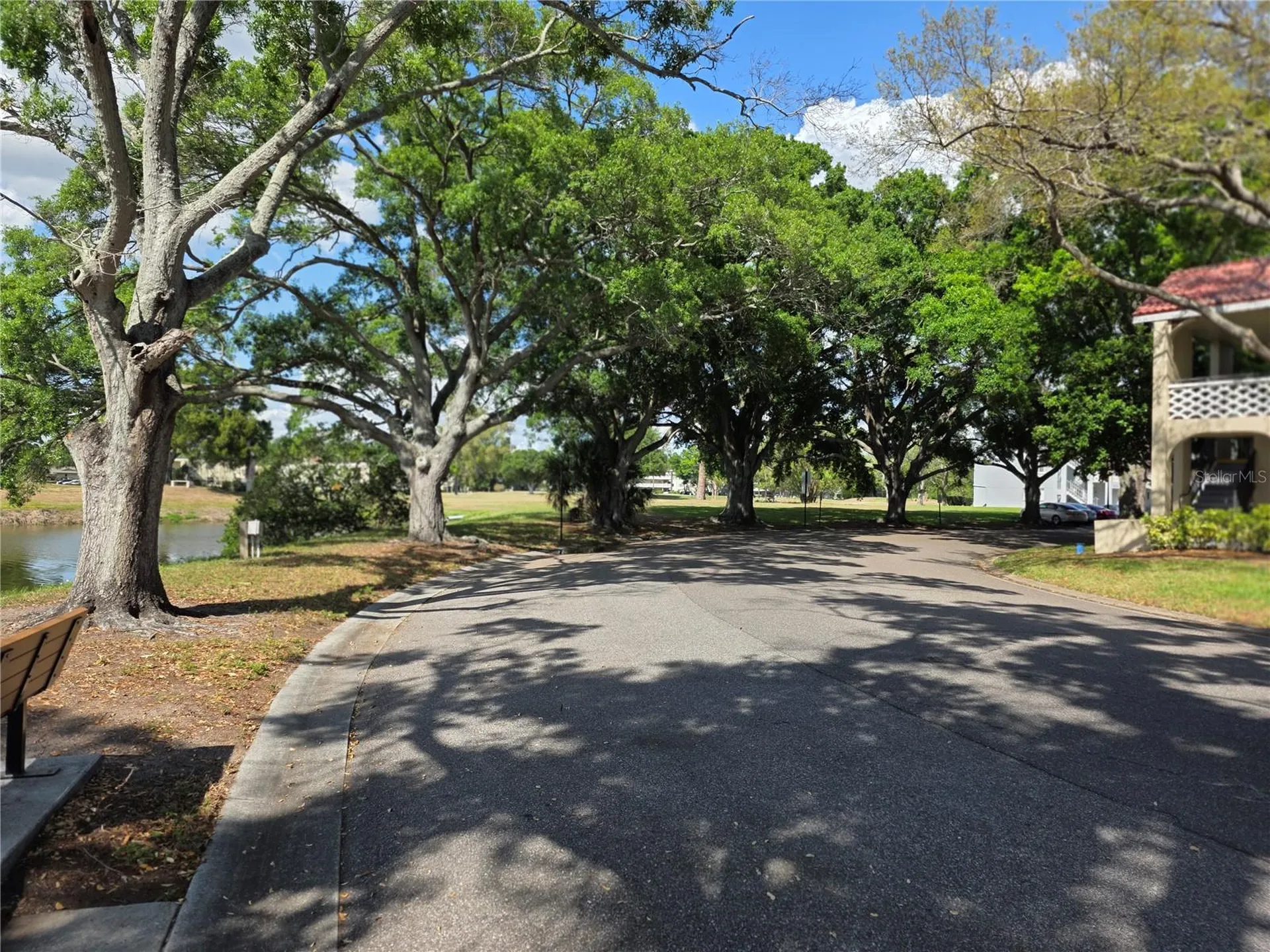 2405 Franciscan Drive Clearwater FL 33763