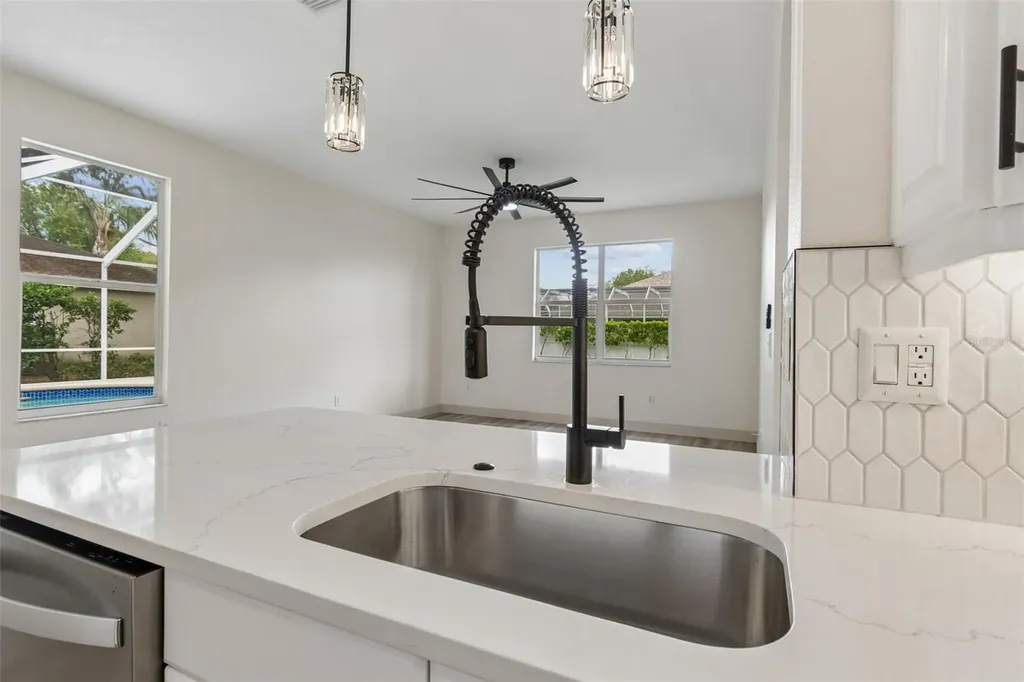 1311 Wyndham Lakes Drive Odessa FL 33556