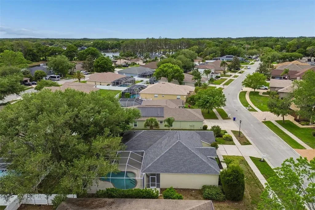 1311 Wyndham Lakes Drive Odessa FL 33556