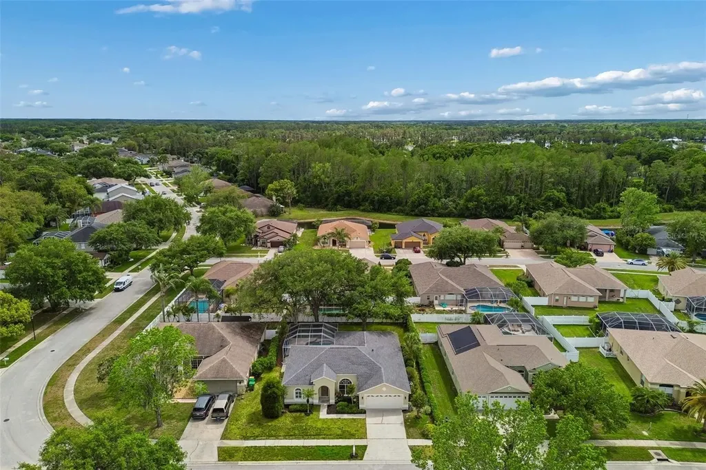 1311 Wyndham Lakes Drive Odessa FL 33556