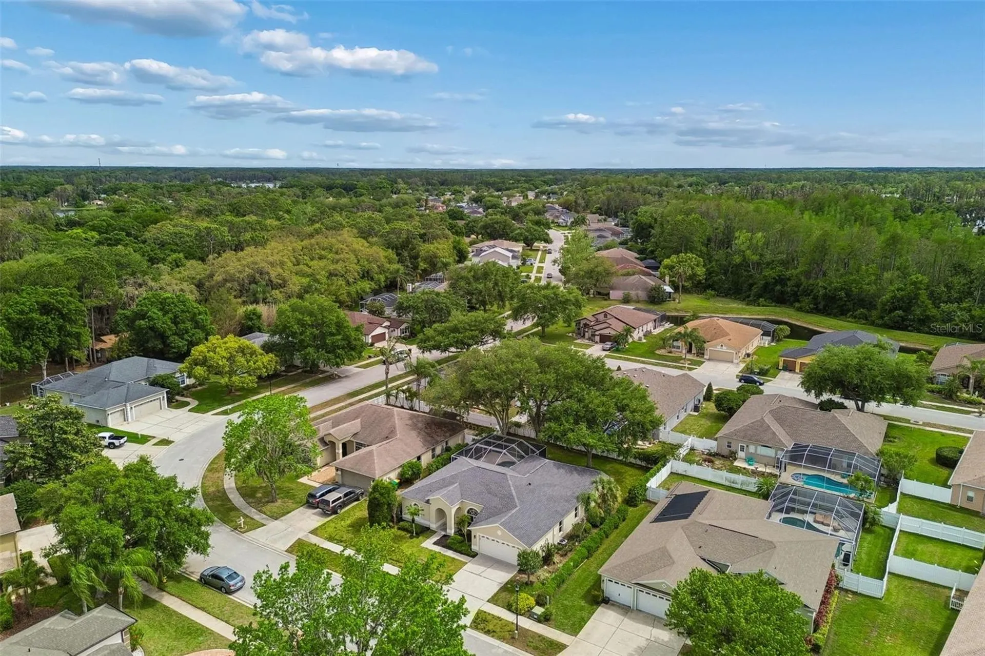 1311 Wyndham Lakes Drive Odessa FL 33556