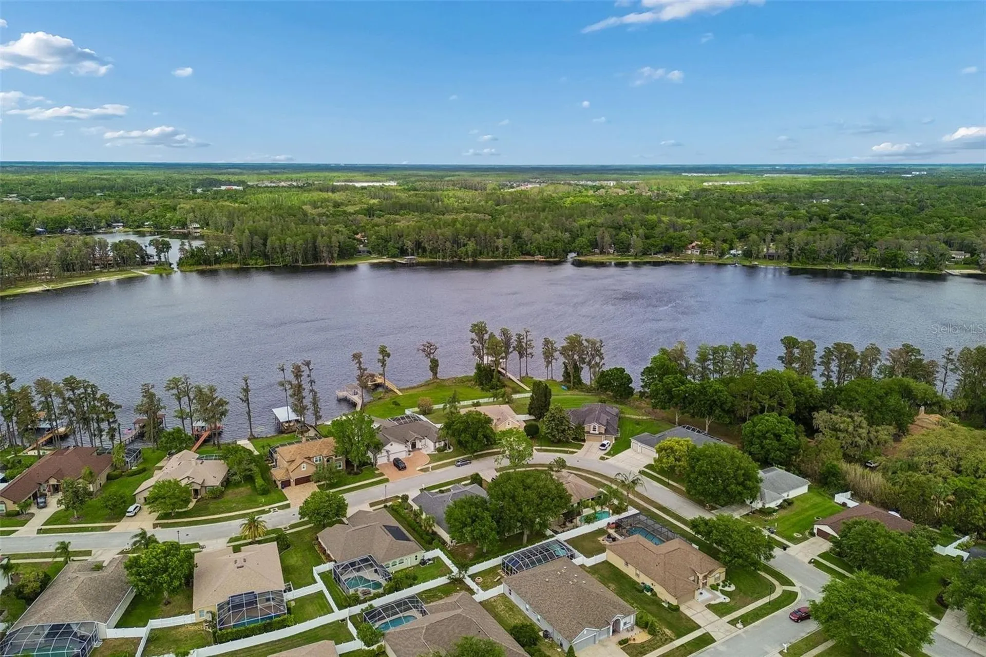 1311 Wyndham Lakes Drive Odessa FL 33556