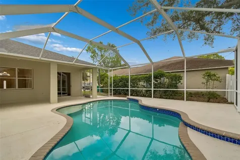 1311 Wyndham Lakes Drive Odessa FL 33556