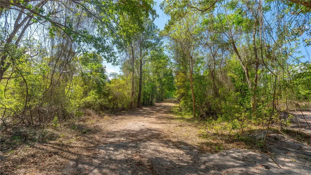 11500 SE 92nd Court Belleview FL 34420