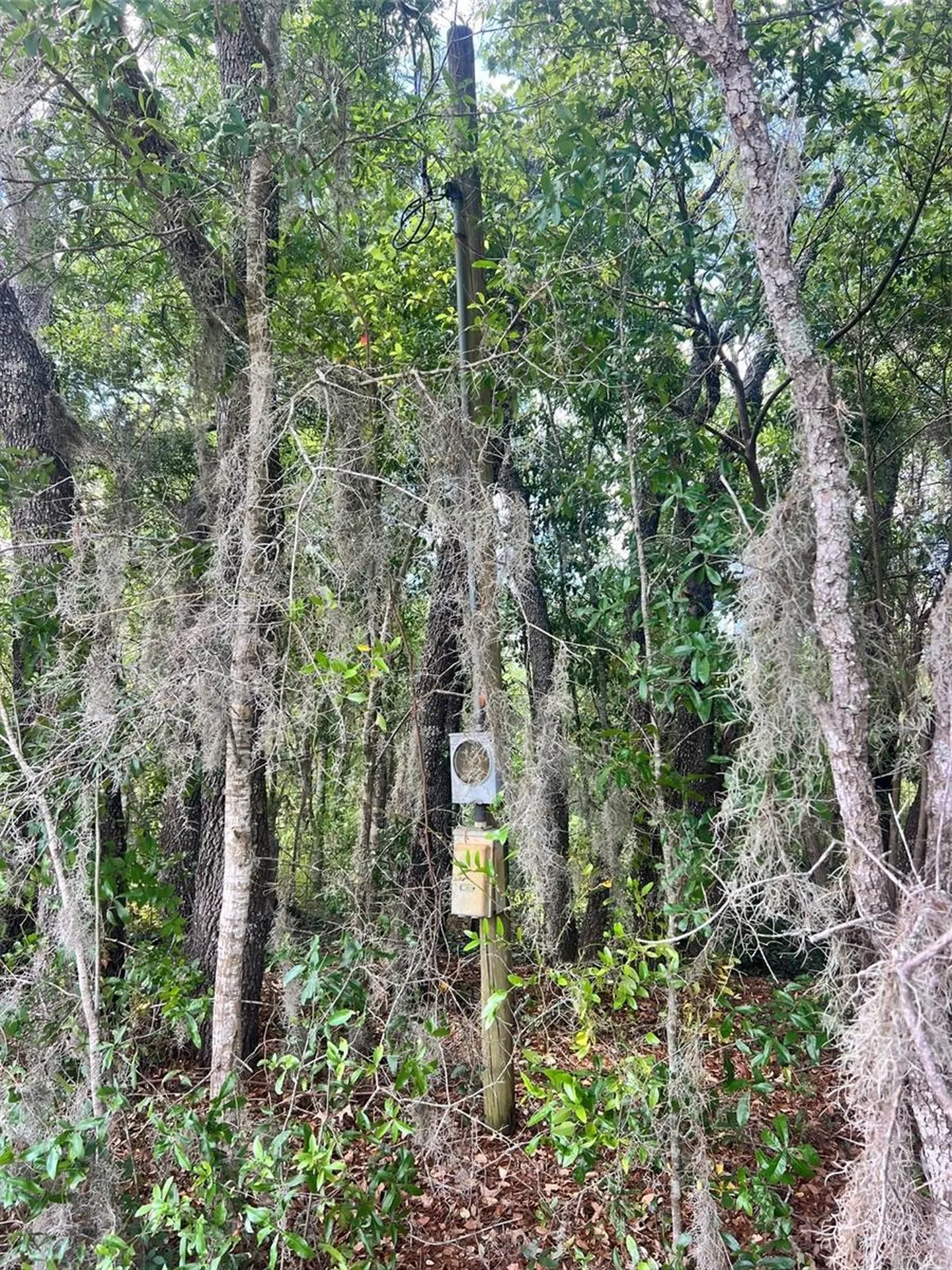 11500 SE 92nd Court Belleview FL 34420