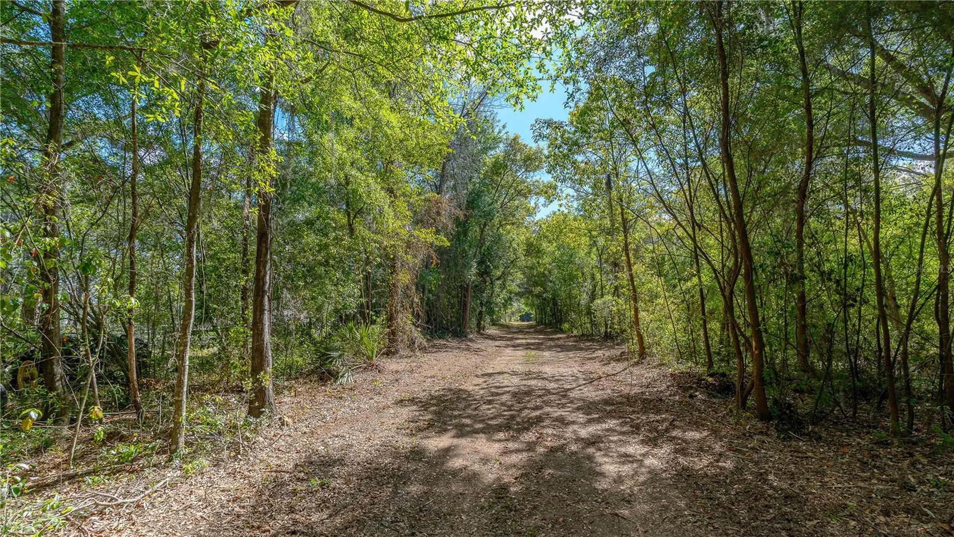 11500 SE 92nd Court Belleview FL 34420