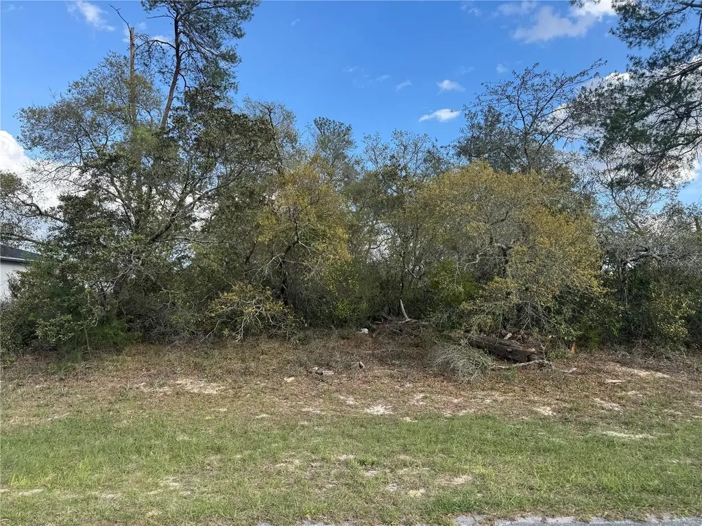 Tbd Marion Oaks Golf Road Ocala FL 34473