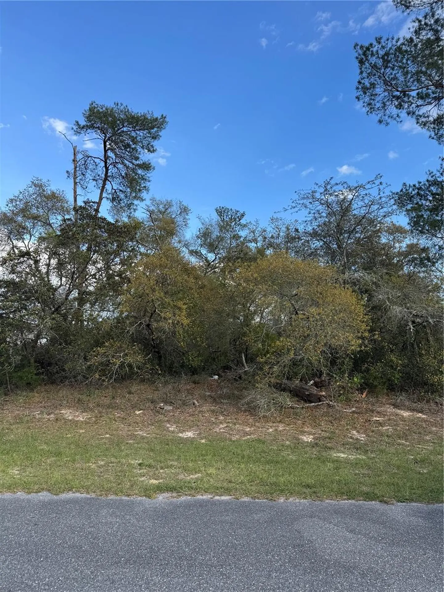 Tbd Marion Oaks Golf Road Ocala FL 34473