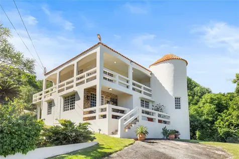 39 Bo. Camino Nuevo Yabucoa PR 00767